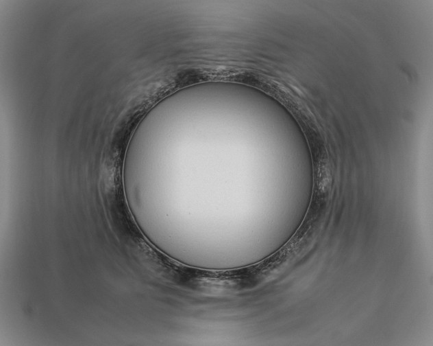 X0000113260515200909241525