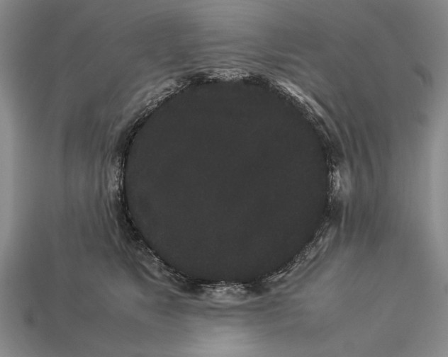 X0000113260517200909241525