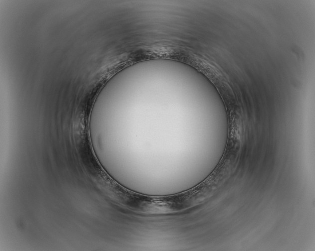 X0000113260518200909241525