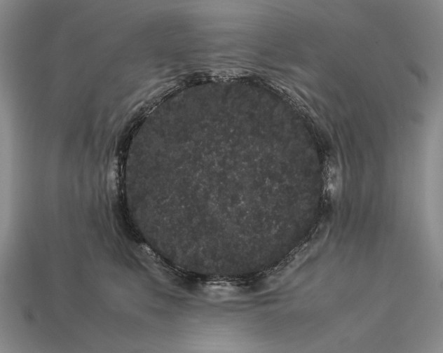 X0000113260519200909241525