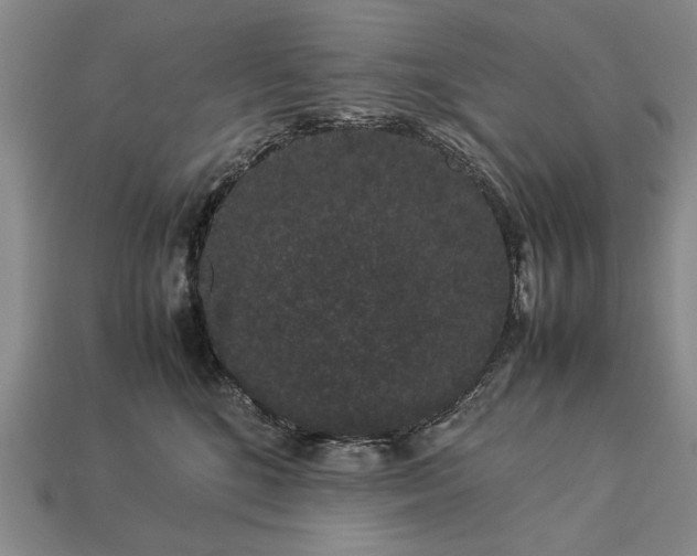 X0000113260520200909241525