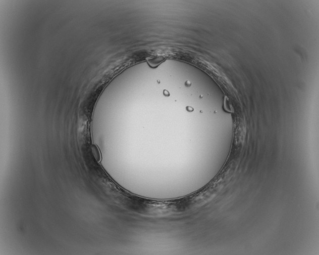 X0000113260521200909241525