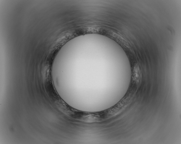 X0000113260522200909241525