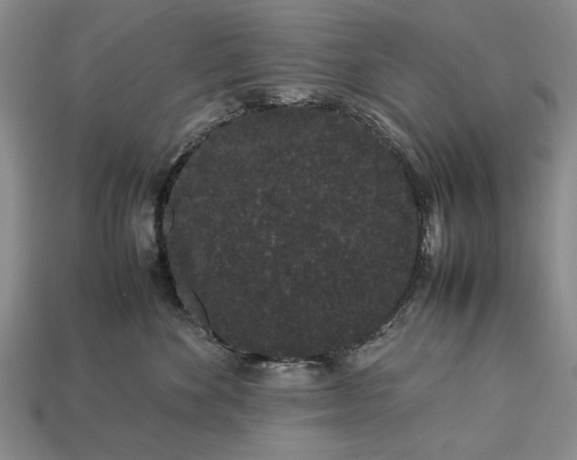 X0000113260524200909241525