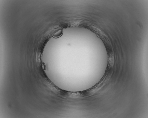 X0000113260525200909241525