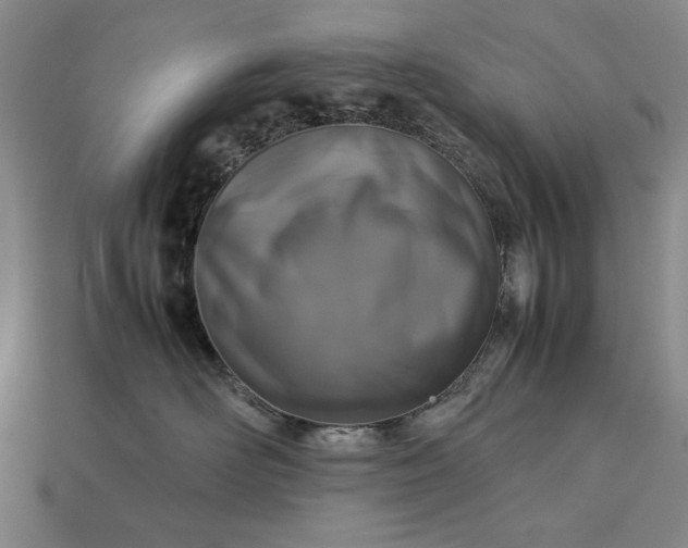 X0000113260526200909241525