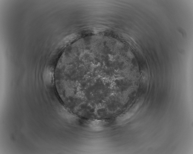 X0000113260527200909241525