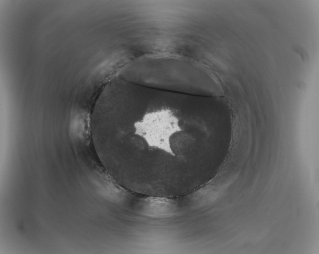 X0000113260528200909241525