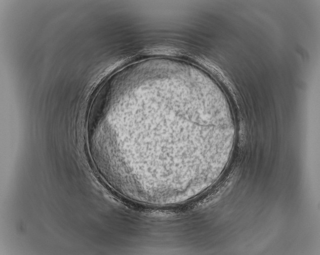 X0000113260529200909241524