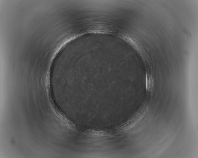 X0000113260531200909241524