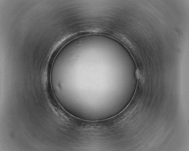 X0000113260532200909241524