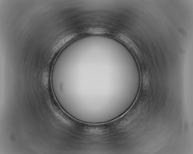 X0000113260533200909241524