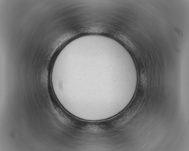 X0000113260534200909241524