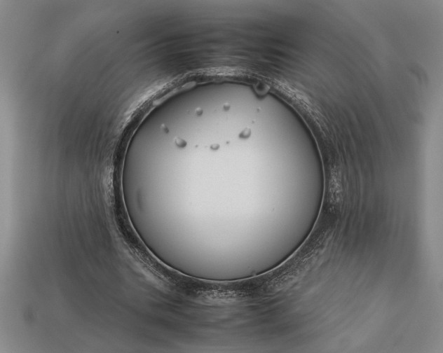 X0000113260535200909241524