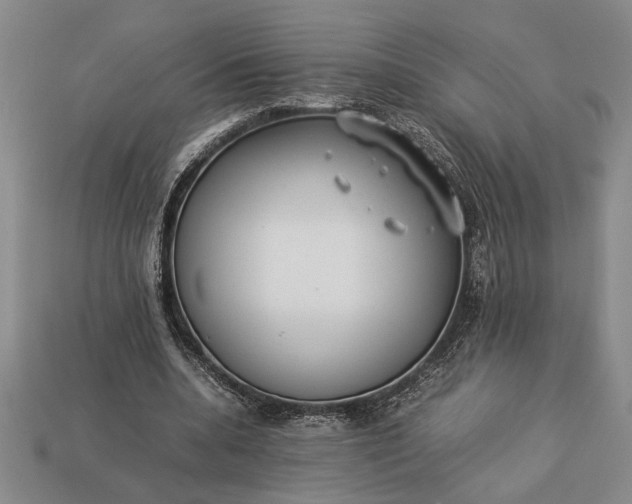 X0000113260536200909241524