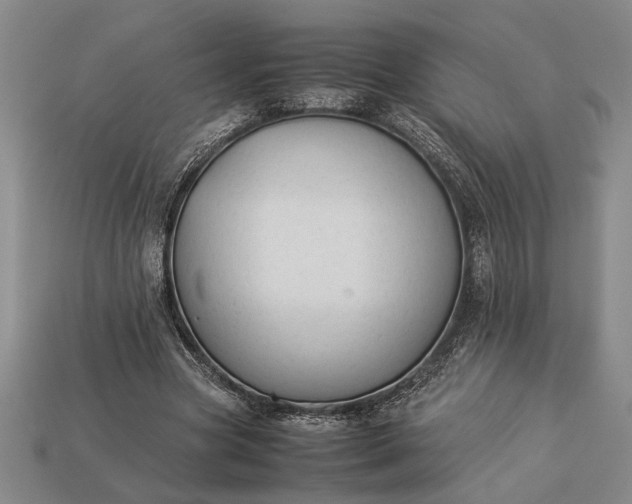 X0000113260537200909241524