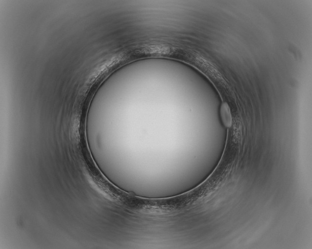 X0000113260538200909241524