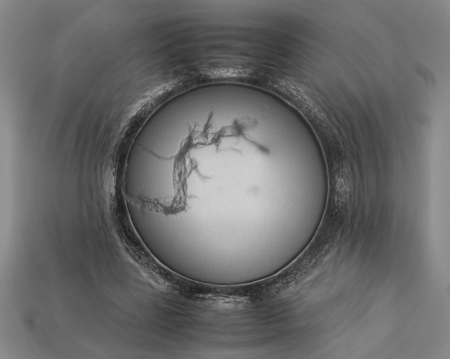 X0000113260539200909241524