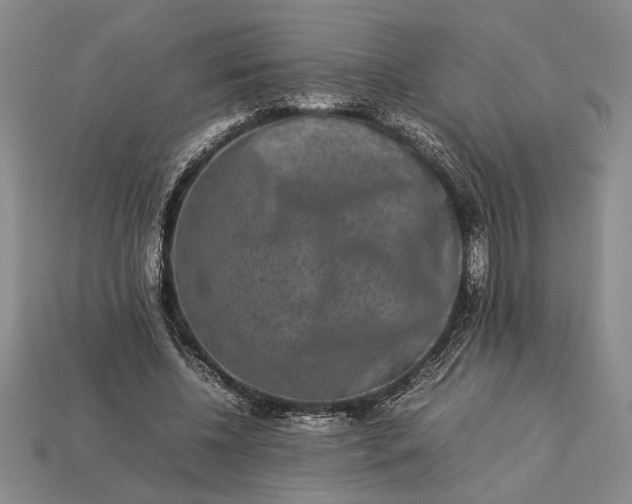 X0000113260540200909241524