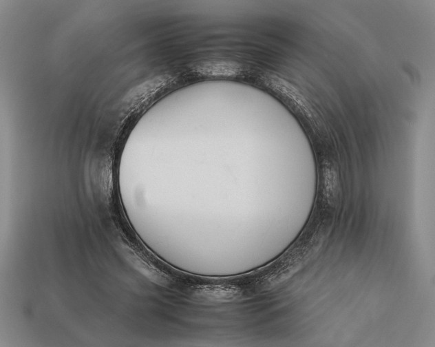 X0000113260541200909241524