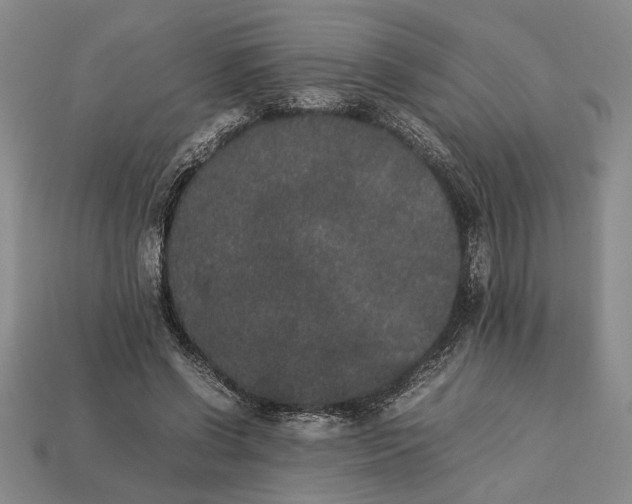 X0000113260542200909241524