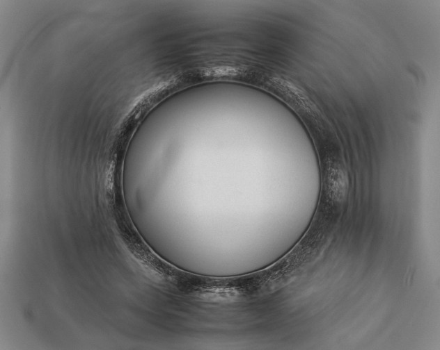 X0000113260543200909241524