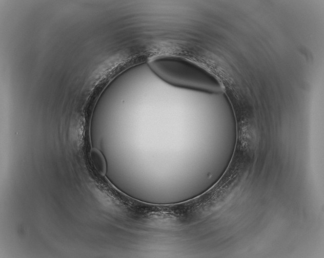 X0000113260544200909241524