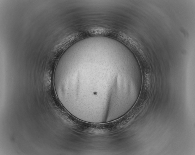 X0000113260545200909241524