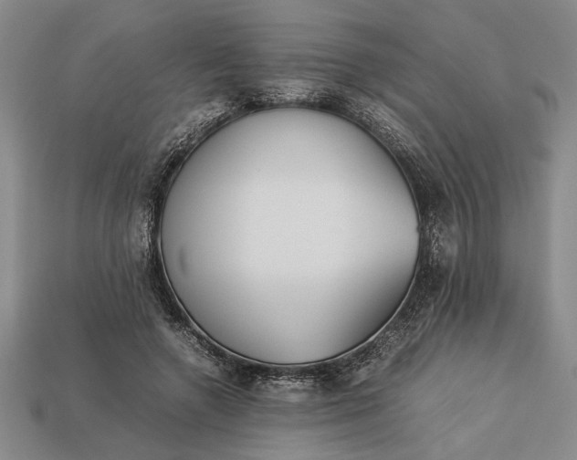 X0000113260546200909241524