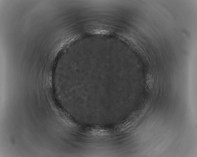 X0000113260547200909241524