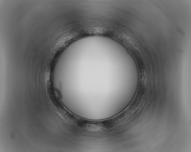 X0000113260548200909241524