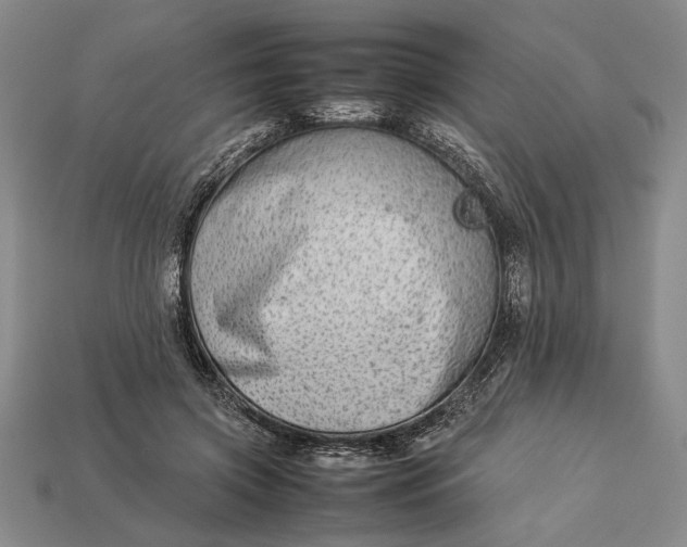 X0000113260549200909241524