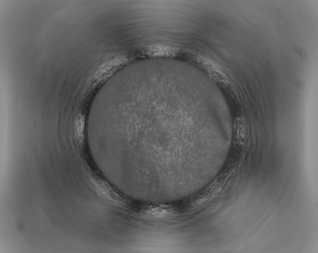 X0000113260550200909241524