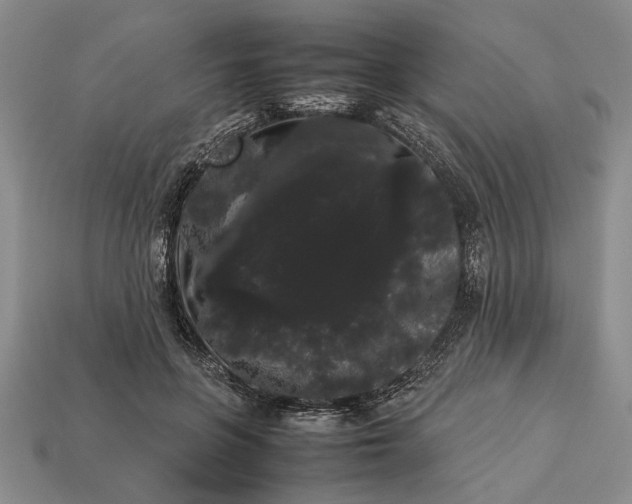 X0000113260551200909241525