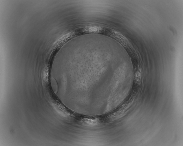 X0000113260552200909241525