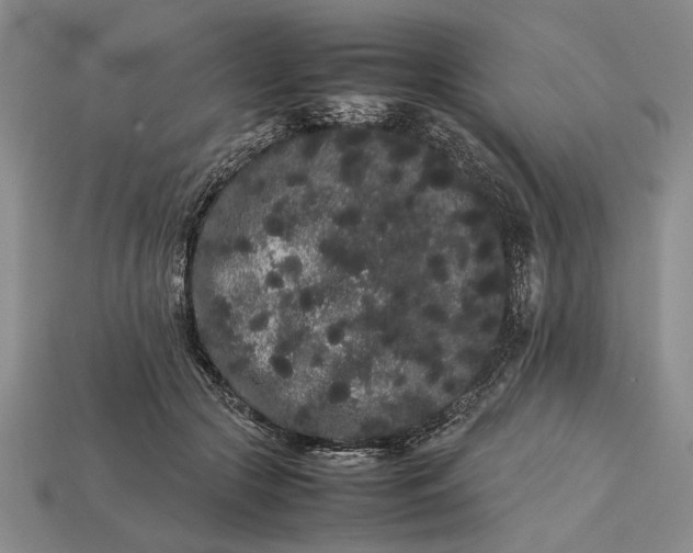 X0000113260553200909241525