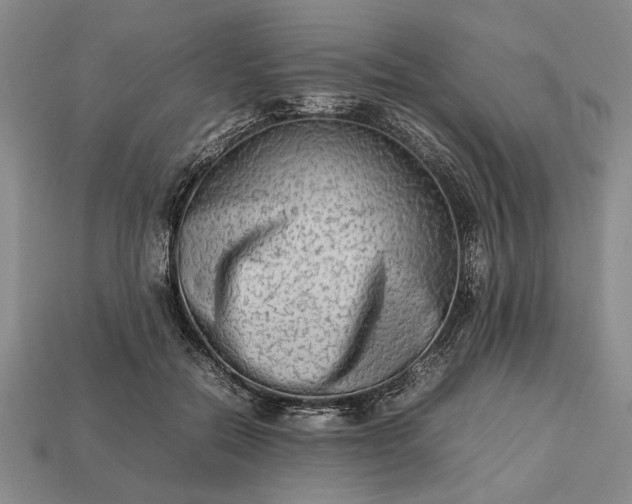 X0000113260554200909241525