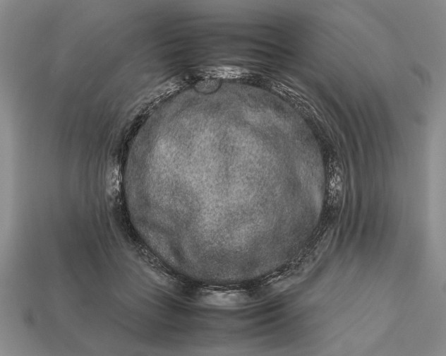 X0000113260555200909241525