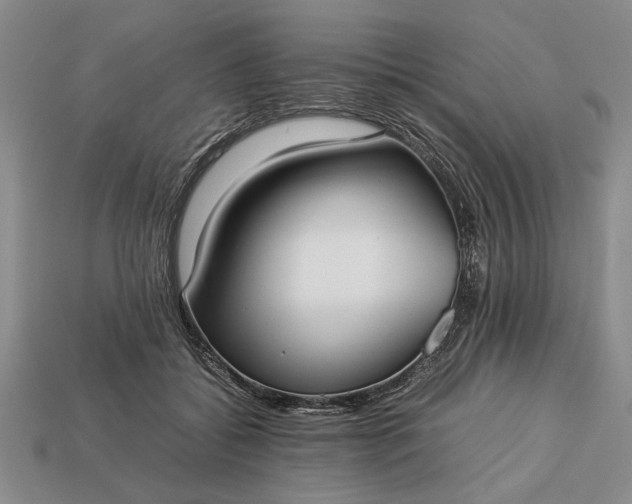 X0000113260556200909241525