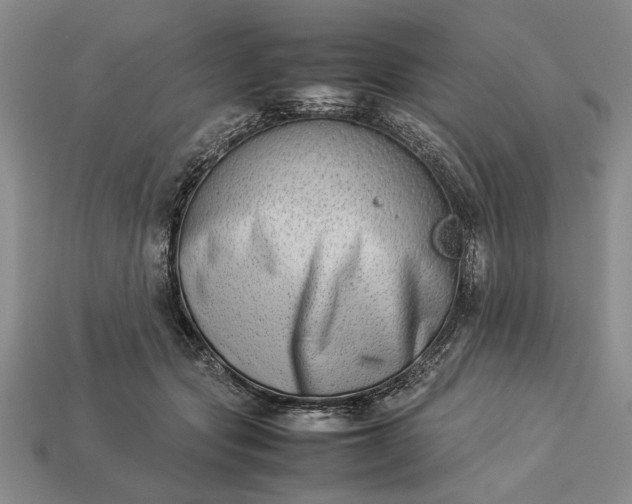 X0000113260557200909241525