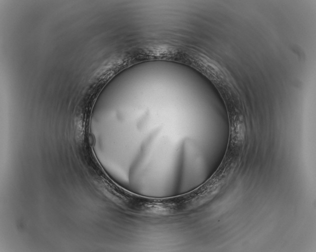 X0000113260558200909241525