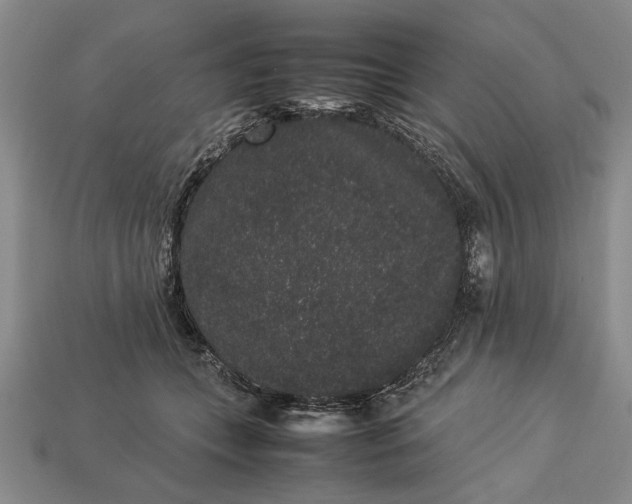 X0000113260559200909241525