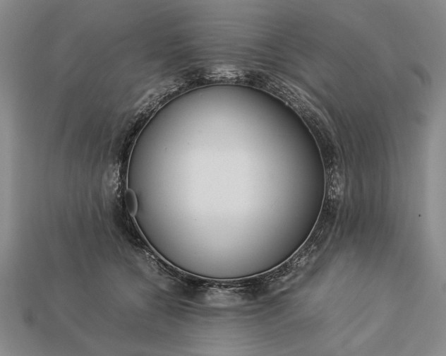 X0000113260560200909241525