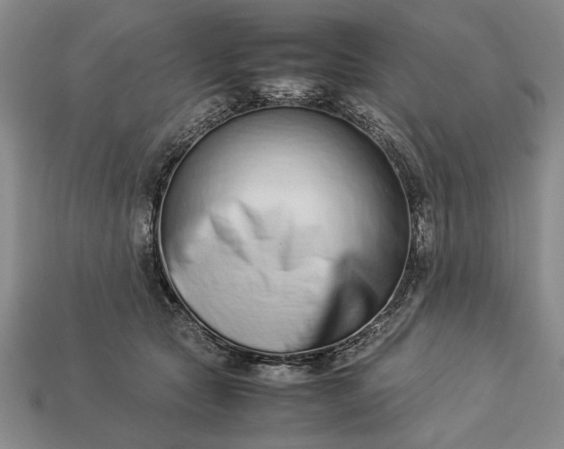 X0000113260561200909241525