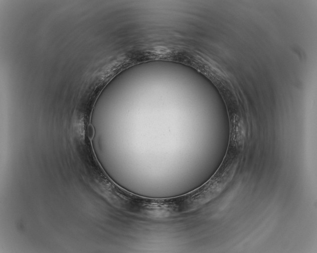 X0000113260562200909241525