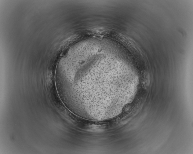 X0000113260563200909241525