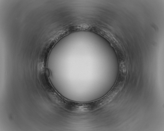 X0000113260564200909241525