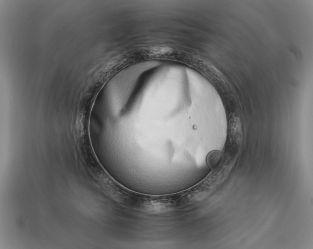 X0000113260565200909241525