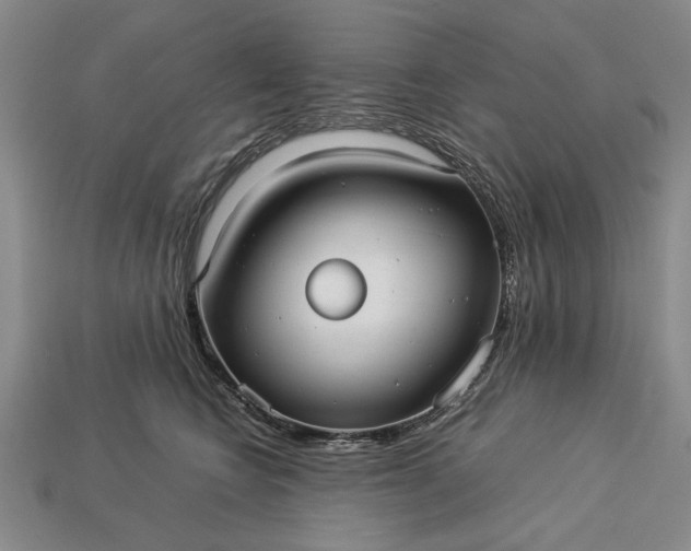 X0000113260566200909241525