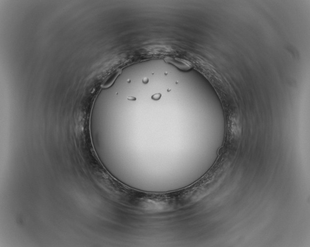 X0000113260567200909241525